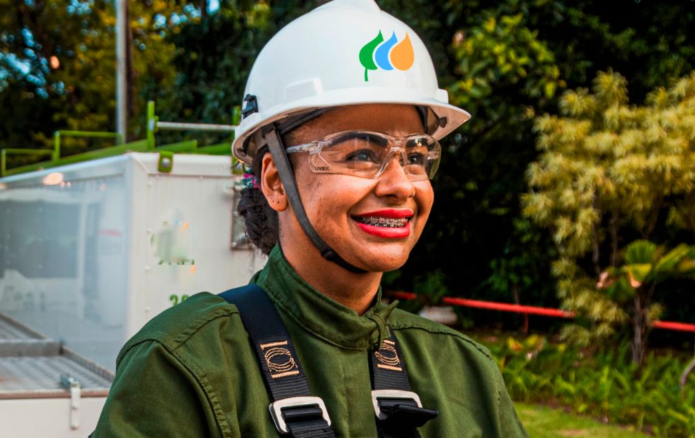 Simulador DSES - Neoenergia